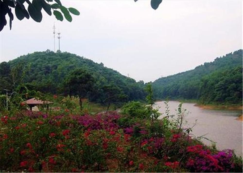 Phoenix Hotel Wuyi Jiangmen Eksteriør bilde